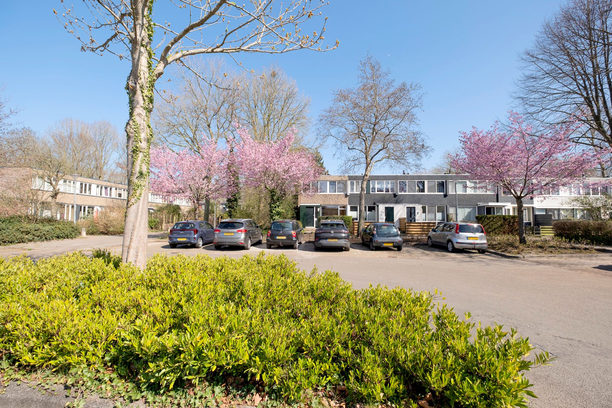 Foto 3 van Meerpaal 212