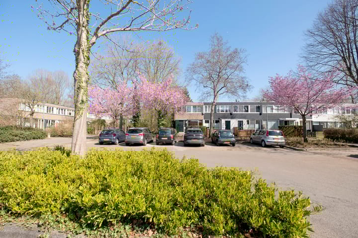 Foto 3 van Meerpaal 212