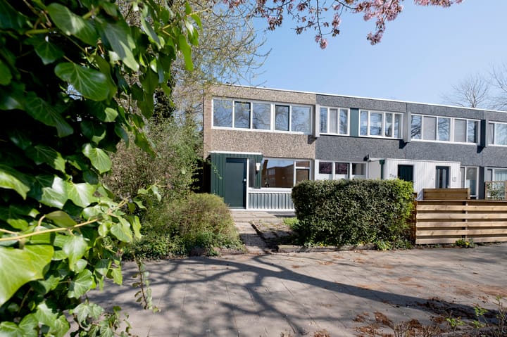 Photo 6 of Meerpaal 212