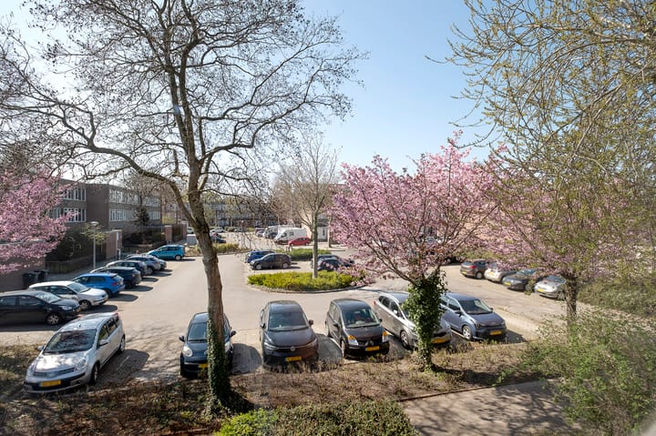 Photo 29 of Meerpaal 212