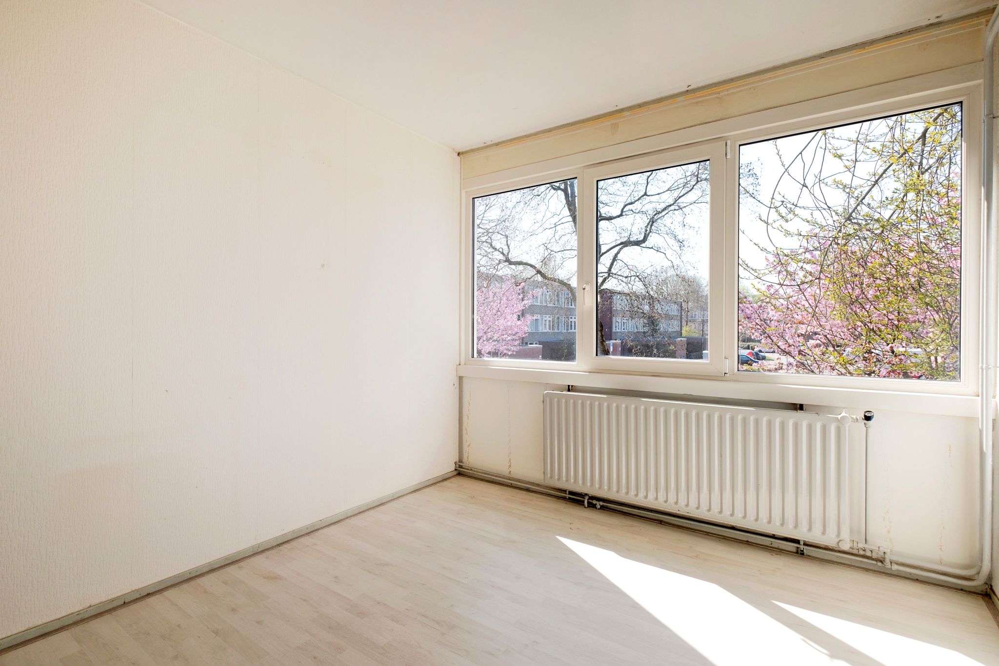 Foto 30 van Meerpaal 212