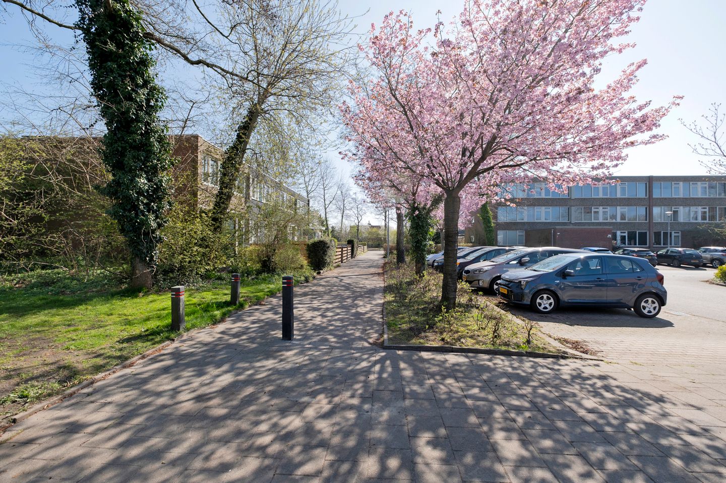 Foto 40 van Meerpaal 212