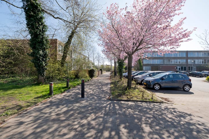 Photo 40 of Meerpaal 212