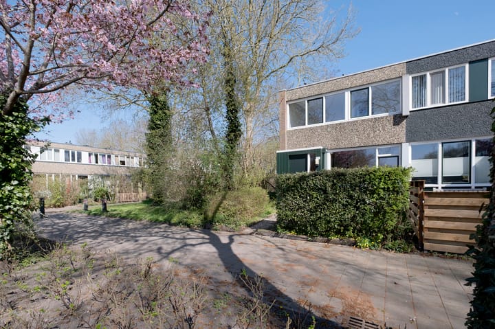 Photo 42 of Meerpaal 212