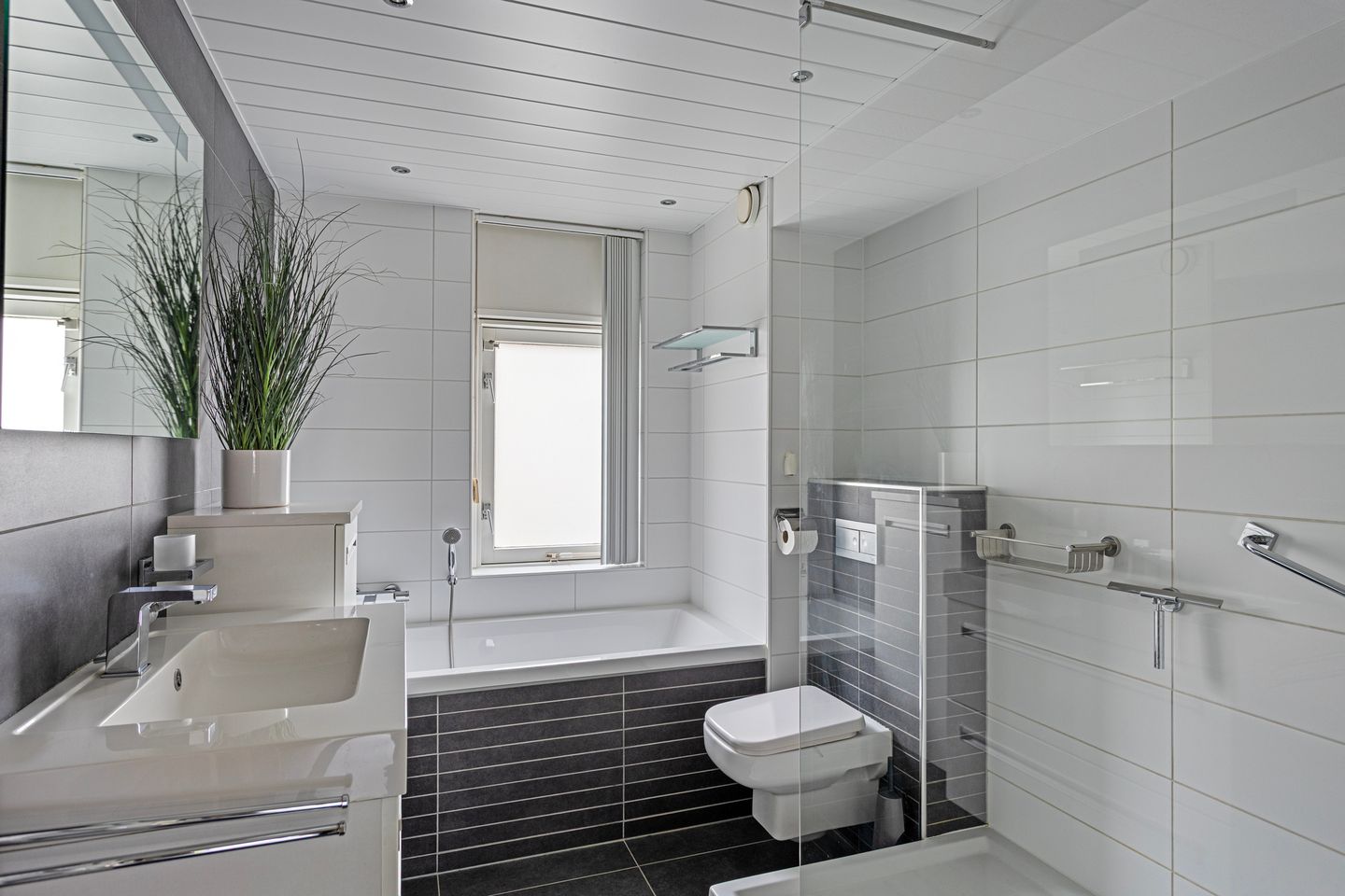 Photo 19 of Wolga 56