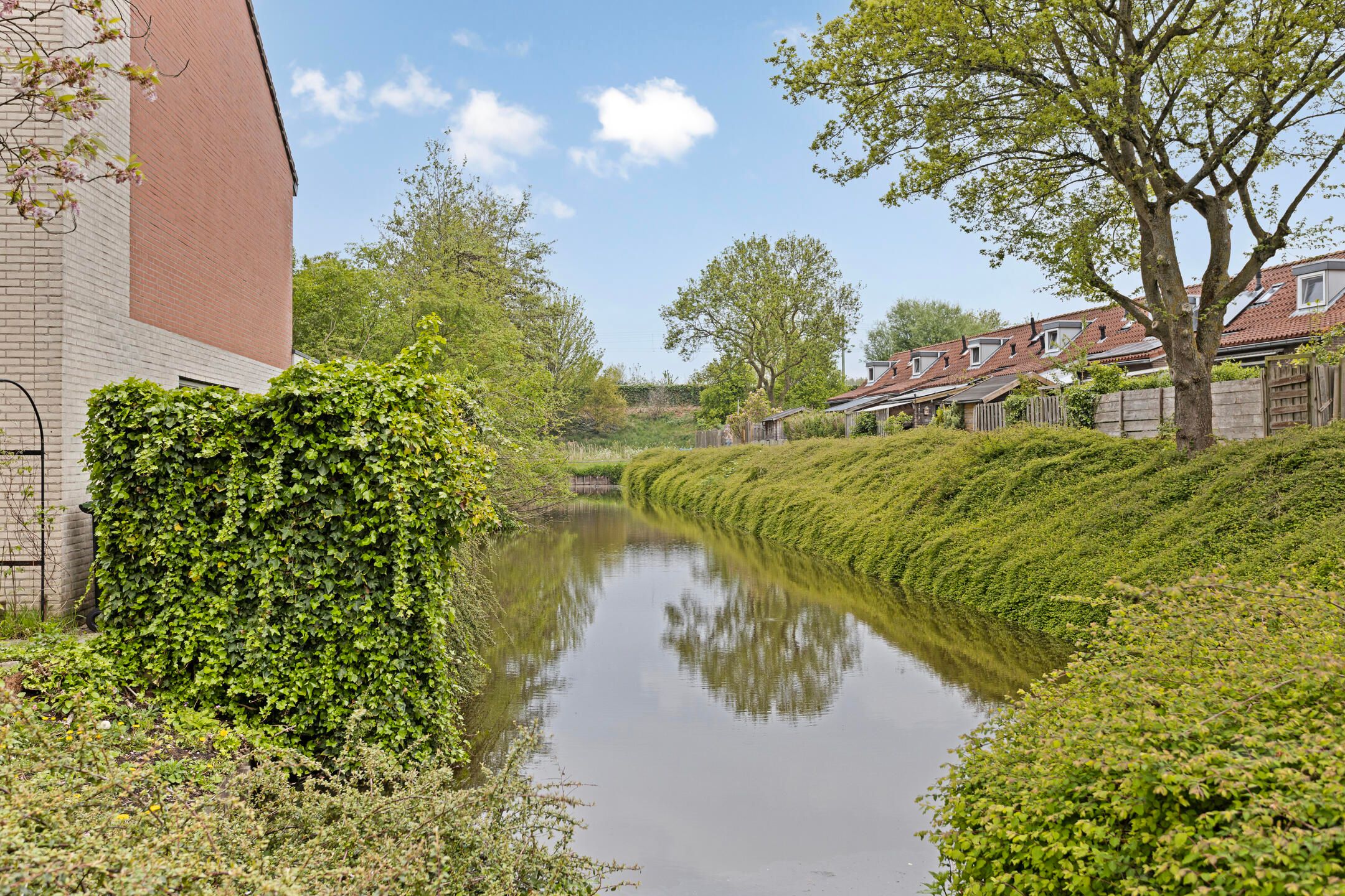 Photo 36 of Wolga 56