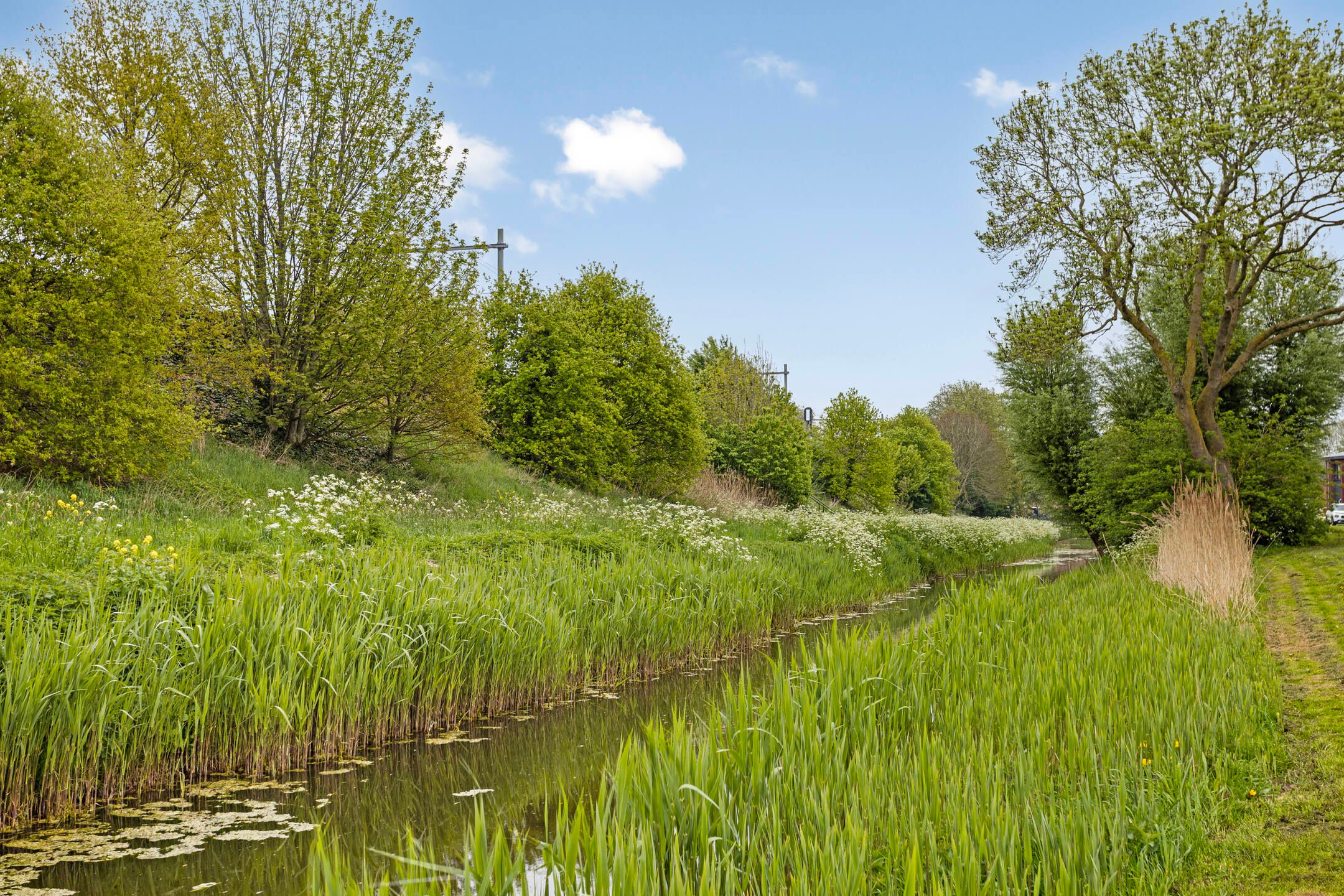 Photo 39 of Wolga 56