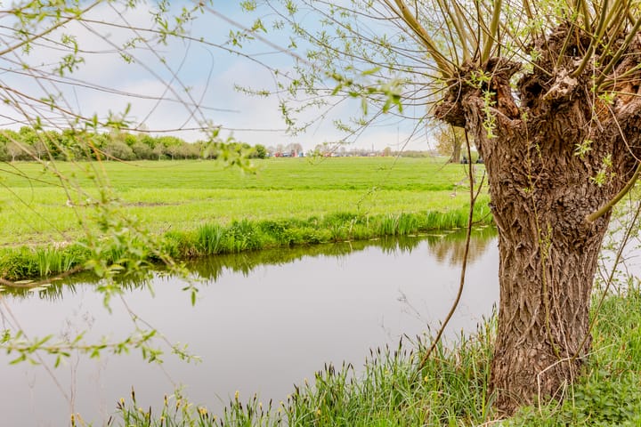 Foto 47 van Reijerscop 16