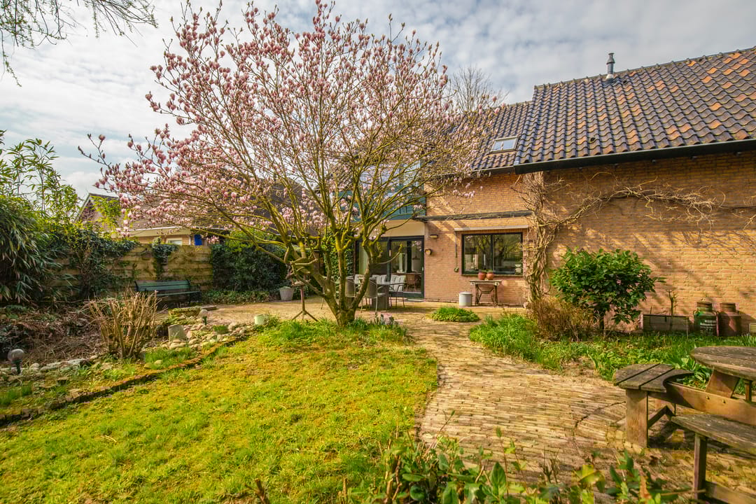 Foto 2 van Zadelmakerstraat 41