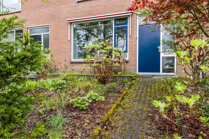 Foto 41 van de Klamp 4