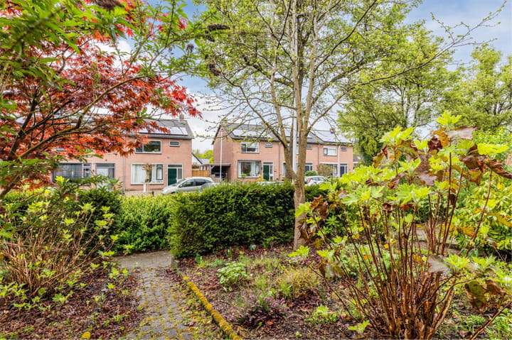 Foto 42 van de Klamp 4