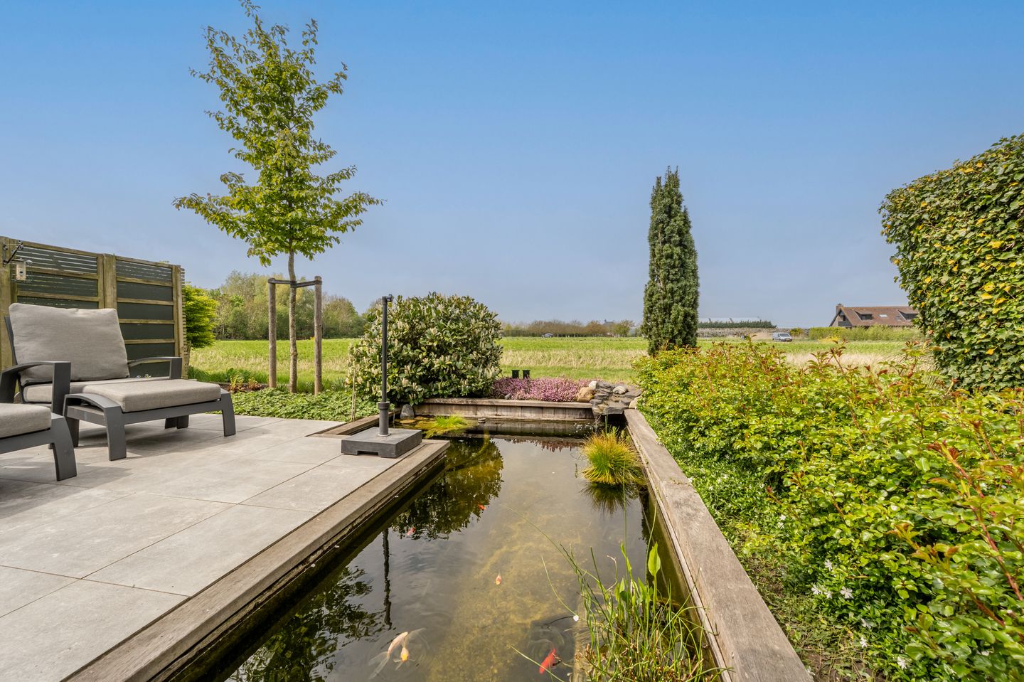 Photo 50 of Zeggegors 28