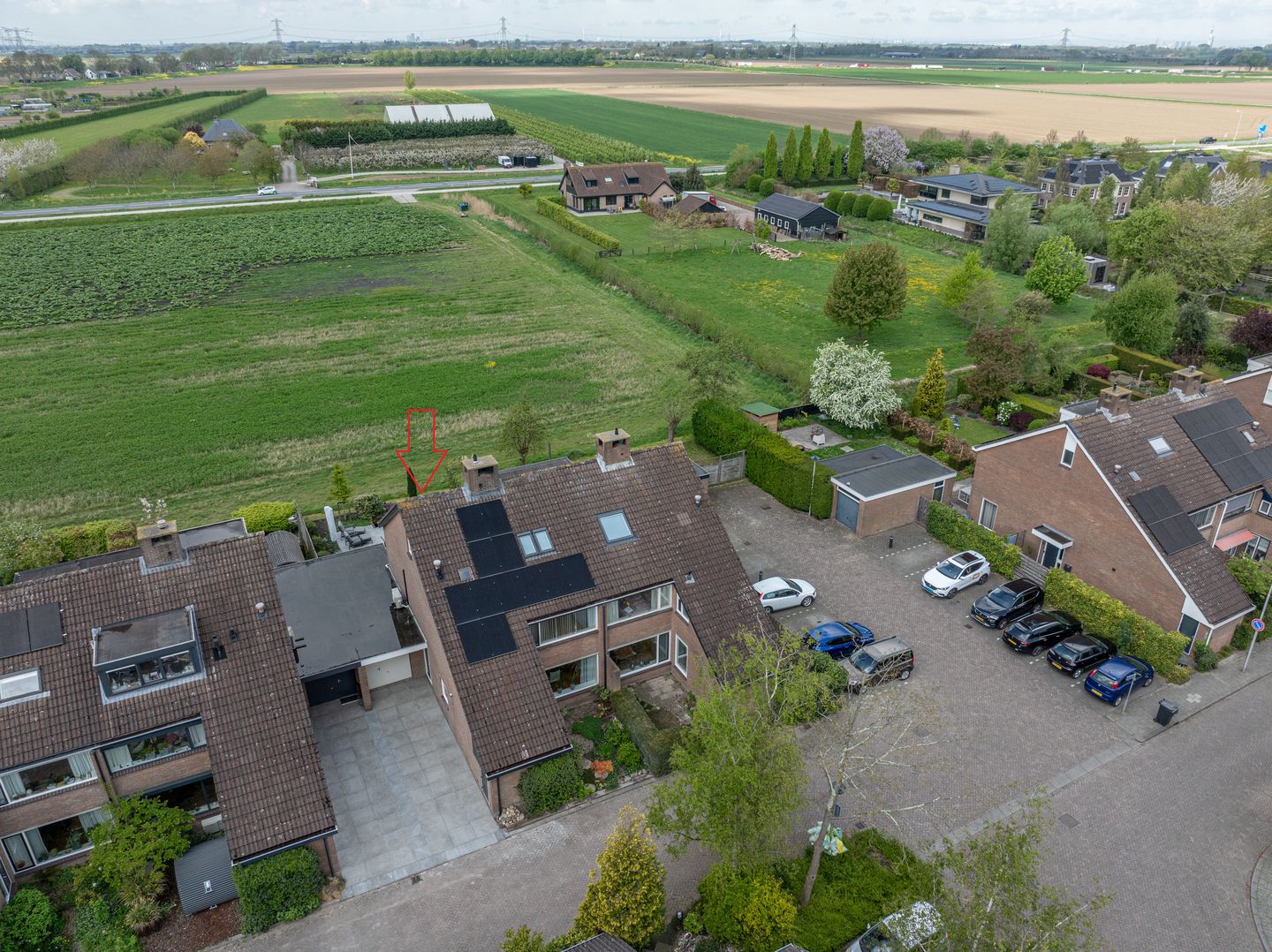 Photo 55 of Zeggegors 28