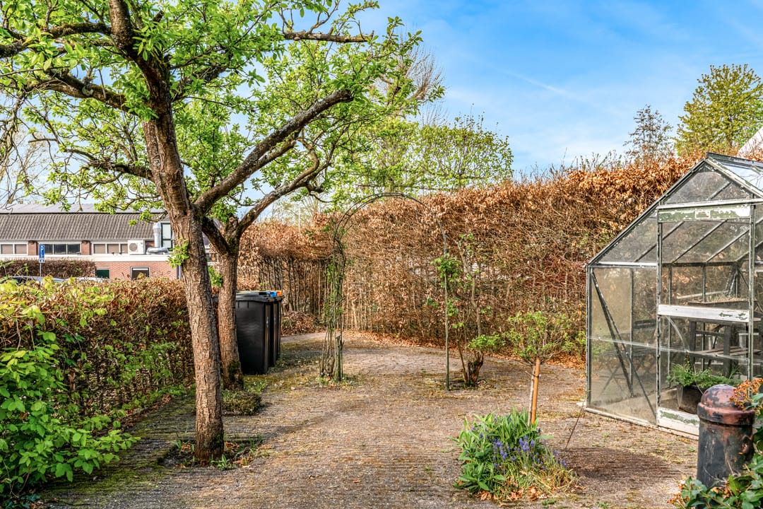 Foto 38 van Dorpsdijk 17