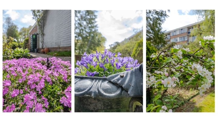 Foto 27 van Molièreweg 708