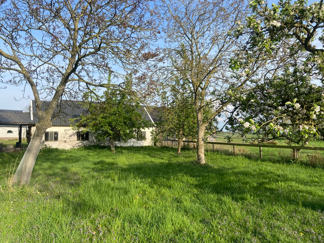 Foto 13 van Mijndensedijk 51