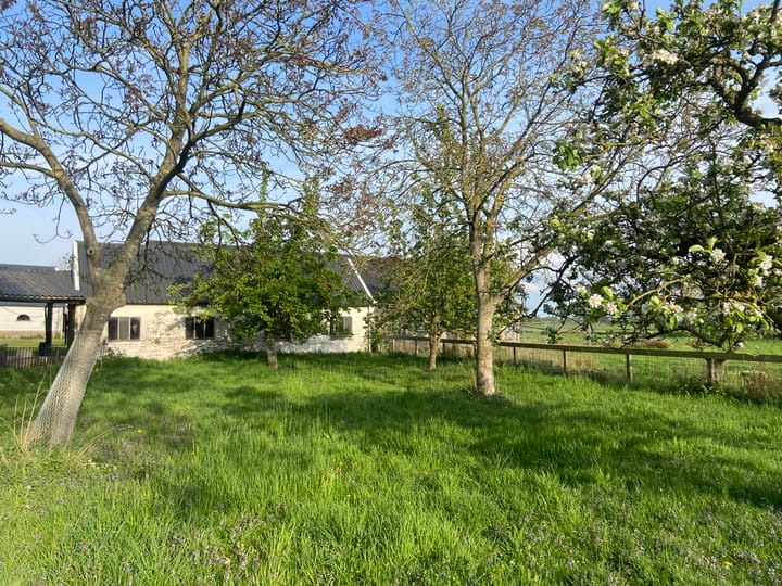 Photo 13 of Mijndensedijk 51