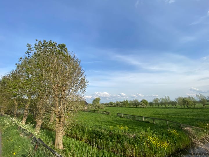 Photo 14 of Mijndensedijk 51