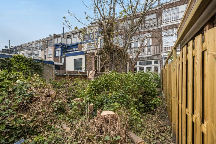 Foto 3 van Paulus Potterstraat 39