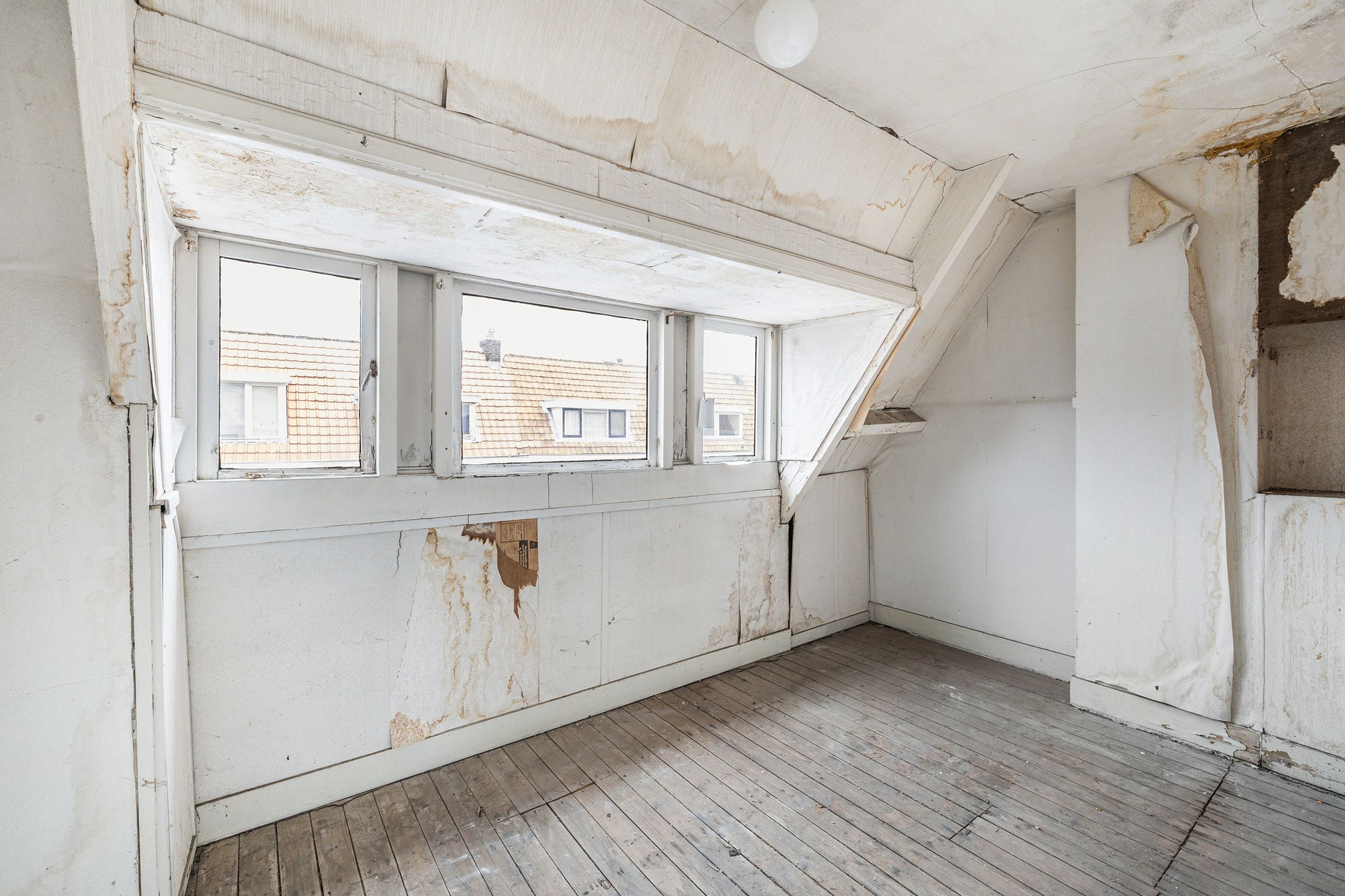 Foto 33 van Paulus Potterstraat 39