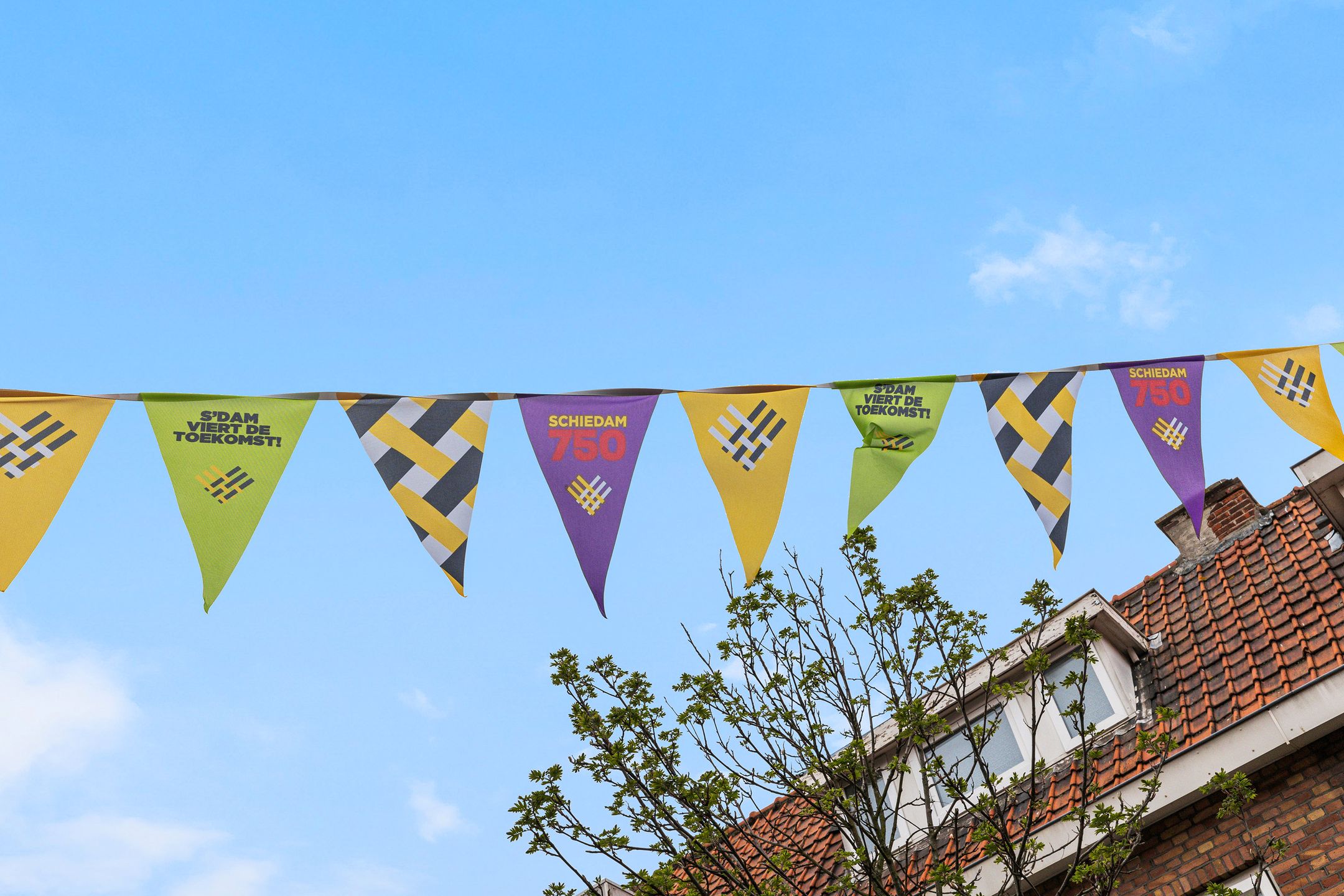 Foto 36 van Paulus Potterstraat 39