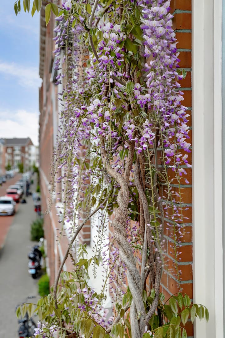 Foto 37 van Johannes Camphuijsstraat 230