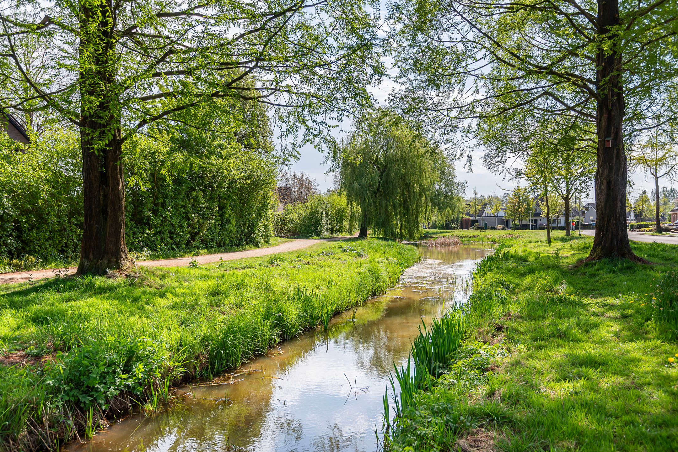 Foto 42 van Geulstraat 7