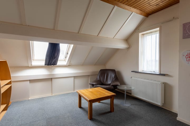 Foto 28 van de Finne 20