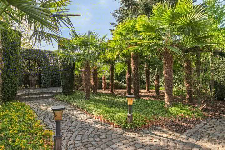 Foto 4 van Schans 11