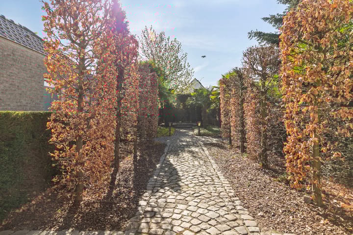 Foto 27 van Schans 11