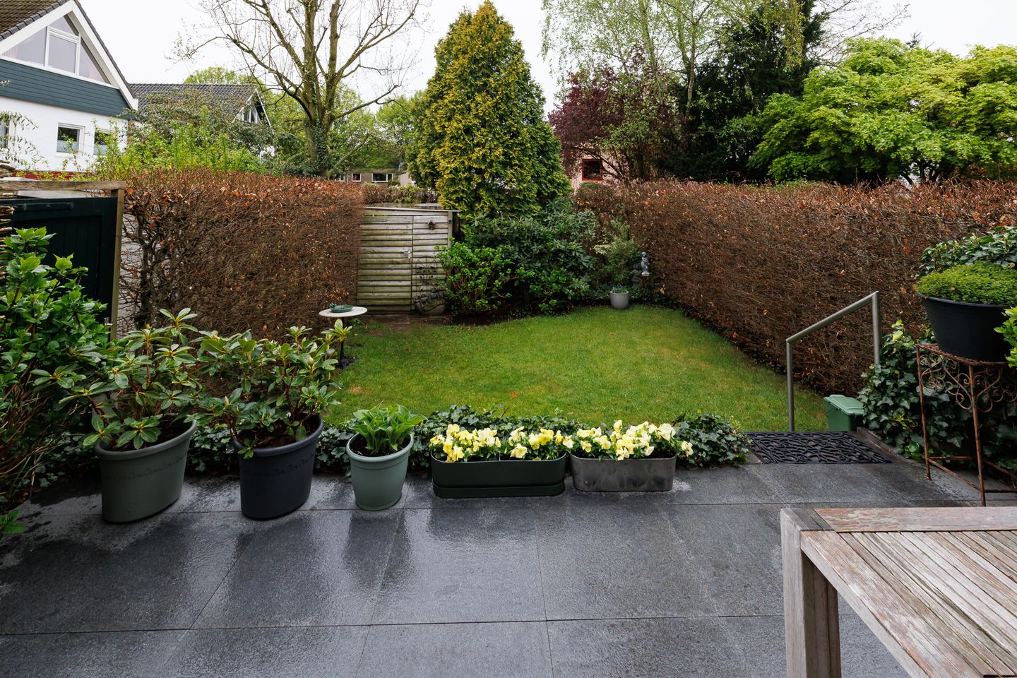 Foto 44 van Peter Scheersstraat 16