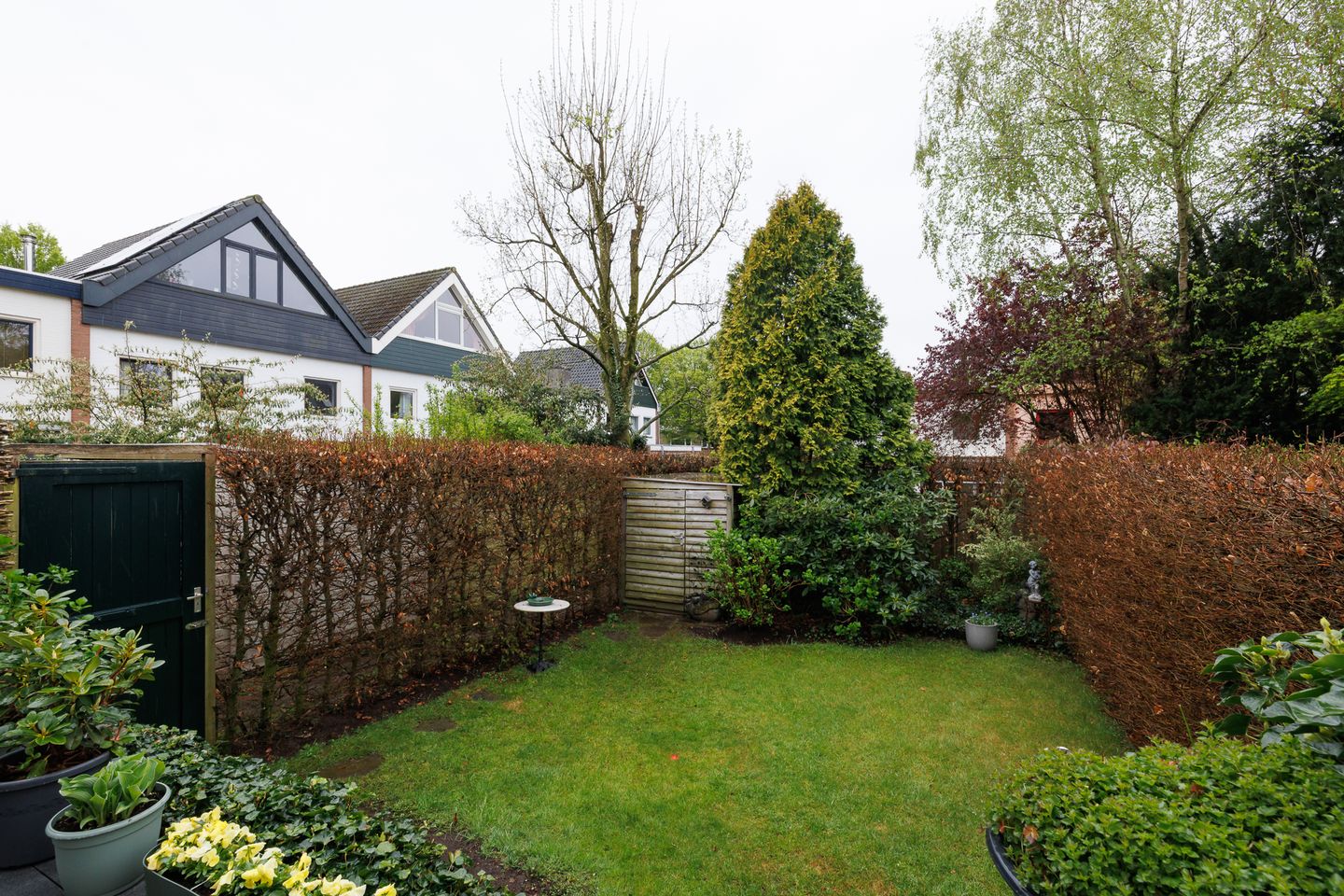 Foto 49 van Peter Scheersstraat 16