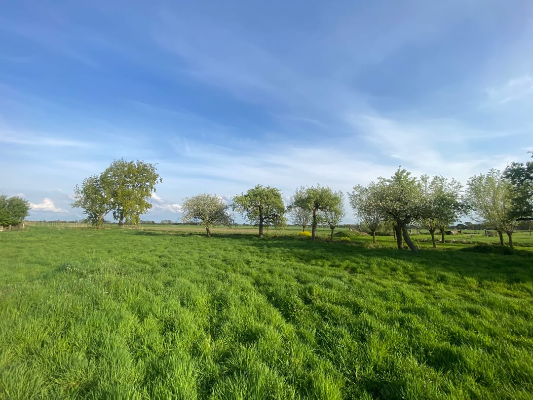 Foto 2 van Mijndensedijk