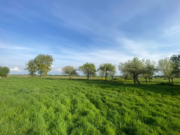 Photo 2 of Mijndensedijk
