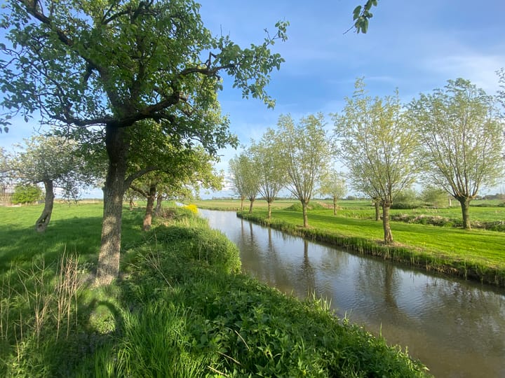 Photo 6 of Mijndensedijk