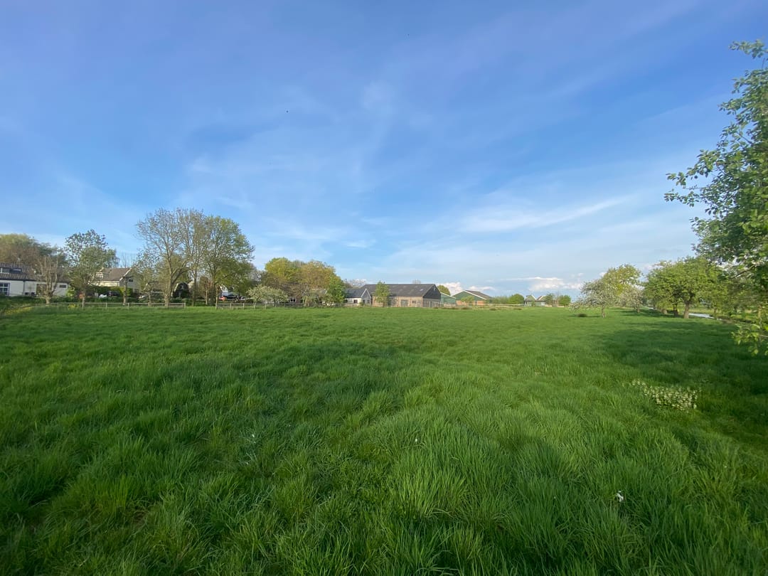 Foto 7 van Mijndensedijk