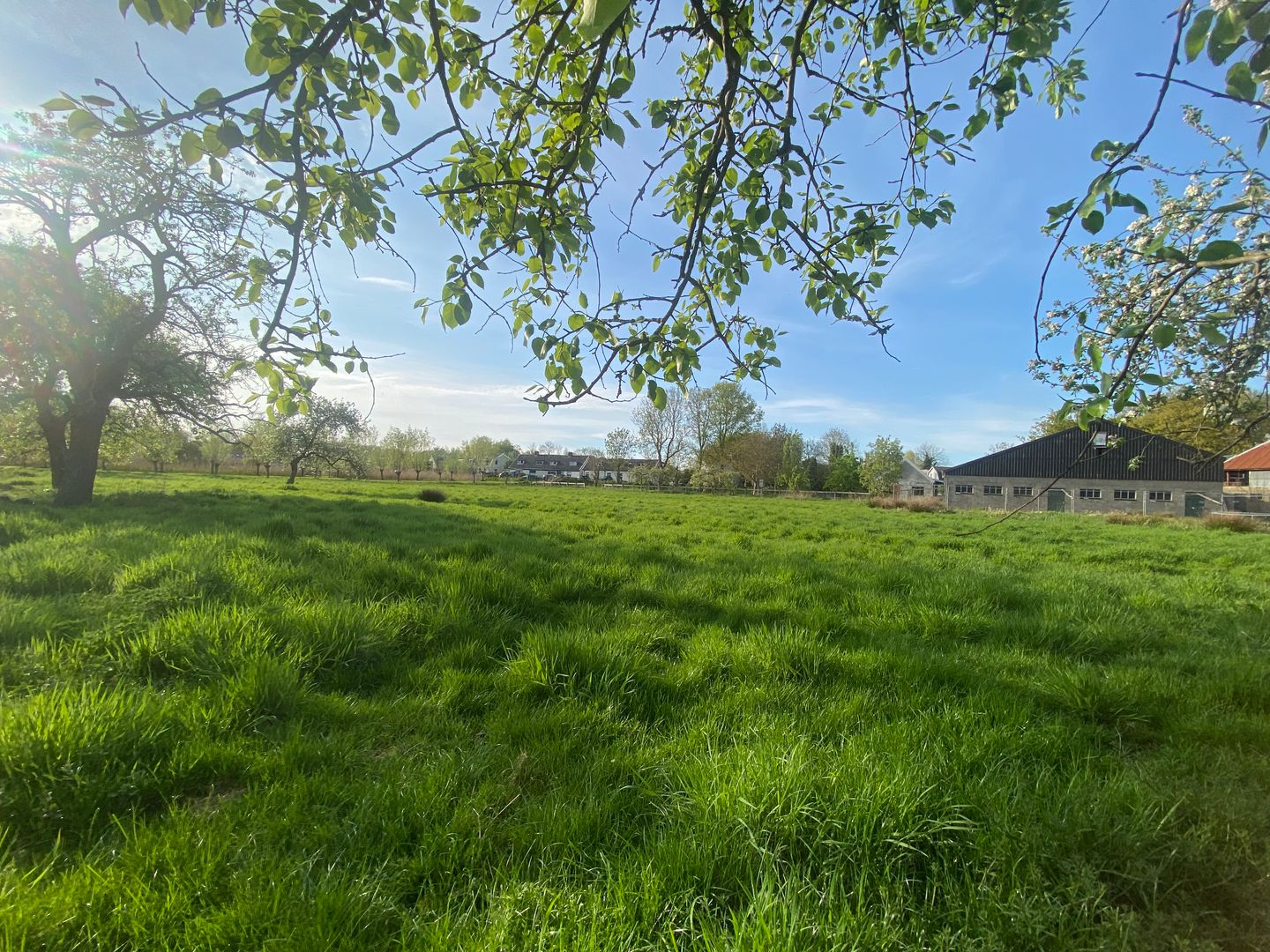 Foto 19 van Mijndensedijk