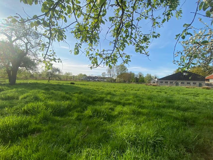 Photo 19 of Mijndensedijk