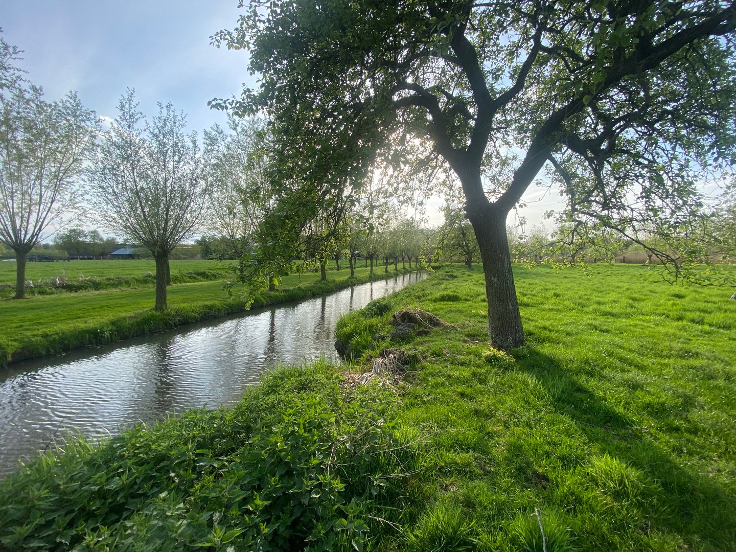 Foto 20 van Mijndensedijk