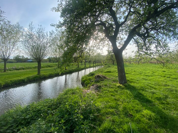 Photo 20 of Mijndensedijk
