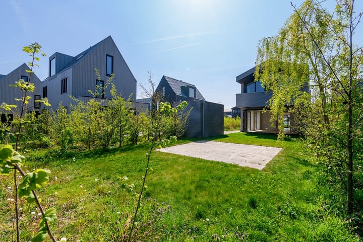 Foto 24 van IJsvogel 14