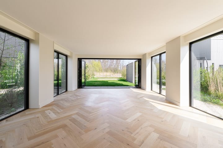 Foto 4 van IJsvogel 14