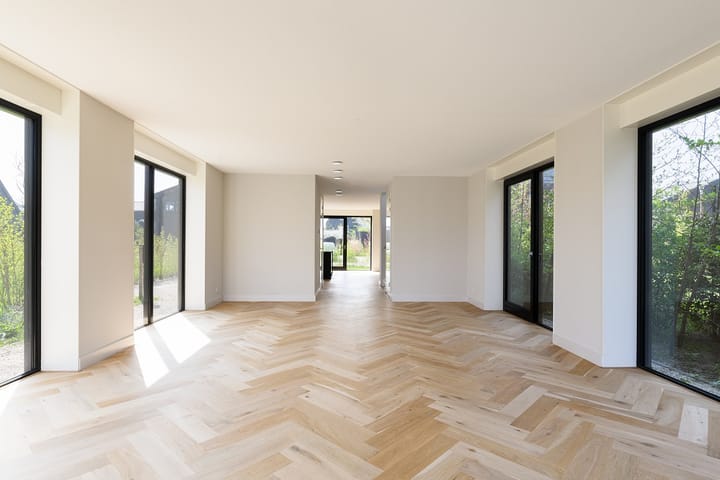 Foto 9 van IJsvogel 14