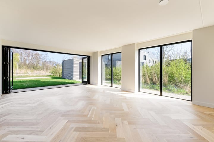 Foto 5 van IJsvogel 14