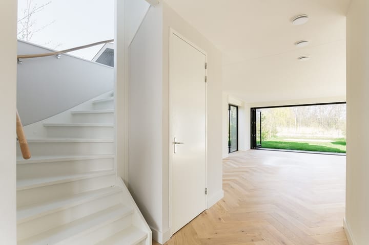 Foto 14 van IJsvogel 14