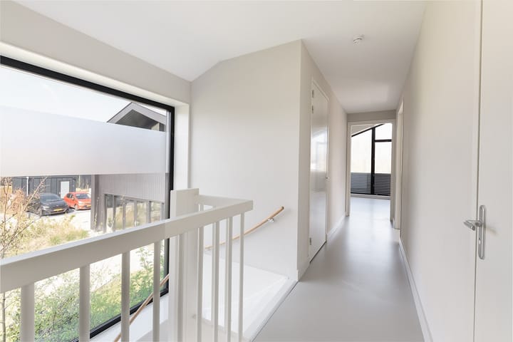 Foto 15 van IJsvogel 14