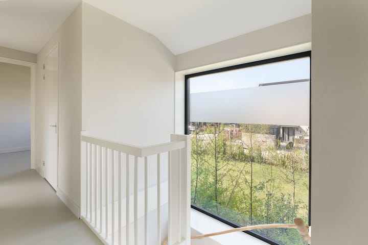 Foto 16 van IJsvogel 14