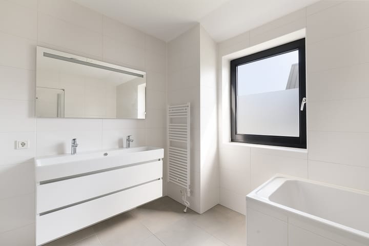 Foto 21 van IJsvogel 14