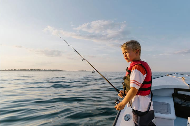 Foto 35 van IJsvogel 14