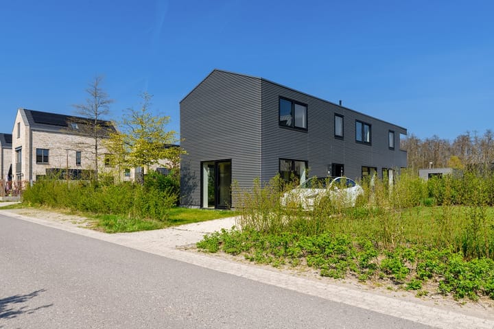 Foto 1 van IJsvogel 14